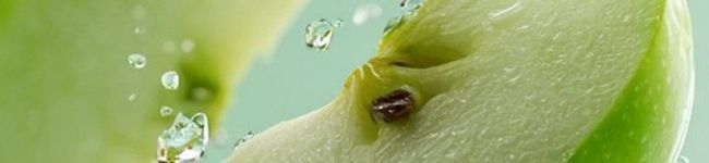 Dapur Kecil Shofiyyah's header image