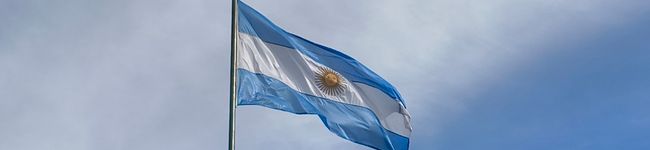 Imagen de portada de Blum