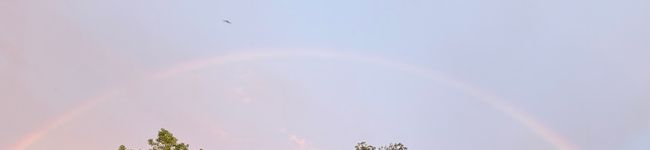 L'image d'en-tête de Hằng