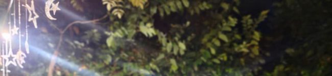 Yuni Sulastri's header image
