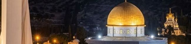 🇵🇸رحيق🌷الورود🇵🇸's header image