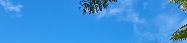 Anisa Purwanti's header image