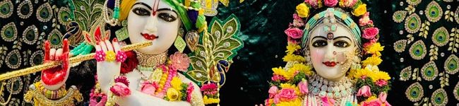 Payal Sachanandani's header image