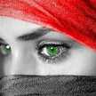 ياسمين الشام