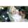 Dhivia Edwi II Dhivia Edwi II