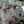 ale fernandez 