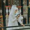 Afifah Effendi