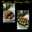 Lulu_ tiaz kitchen