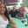 joana