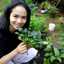Nur WAP