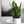 samira _beautiful samira _beautiful