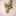 delices_nassima delices_nassima