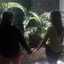 Gema Moreno