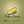 DESSY