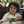 Reem Khaled Abueid