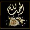 Heba Abd Elhameed