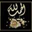 Heba Abd Elhameed
