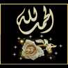 Heba Abd Elhameed