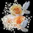 Younes Nadhir