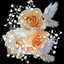 Younes Nadhir