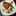 Healthy Lifestyle Healthy Lifestyle