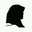 Faizz Faizz