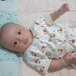 Safitri Anis