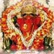 Vinith Malli