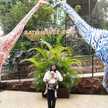 Ariyani Dwi Novitasari
