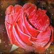 Gabriela ʚïɞ Faktoria Magliano