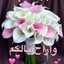 الساح keyn