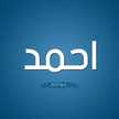 Ahmed Saadany