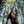 Nadiya Widad