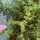 Reeshma Fathima Reeshma Fathima