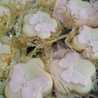 Nassi Zeroual ( ام كوثر ويونس)