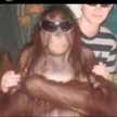 BajonesDeVolao