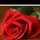 Manoo Mughal