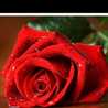 Manoo Mughal