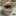 Abdad_98