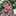 yanina churruarin yanina churruarin