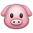 pigoutyvr