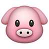 pigoutyvr