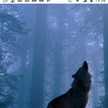 La Guarida Del Lobo