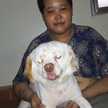 Gấu Trúc Và Tô Béo