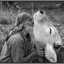 Vacas.felices BY Brisa 