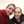 Micaela