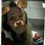 Pame Lujan Hernandez