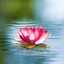 Aime la nature
