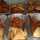 asmies Small Chops