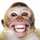 🐵